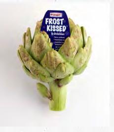 SUPPLIERS ADAPT IN CROP SITUATIONS THAT ARE OUT OF THEIR CONTROL Suppliers/Growers turn a freeze into a new way to gain new buyers Artichokes are Frost Kissed when the temperature drops below 32