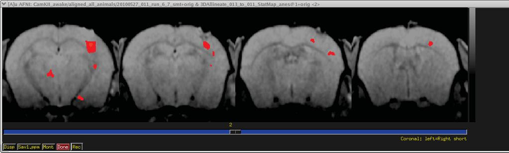 A Mouse CaMKII-ChR2-C (0.7% isoflurane anesthesia) 1 mm posterior 0.5 mm posterior 0 mm 0.5 mm anterior 1.0 1.0 correlation (r) correlation (r) 0.