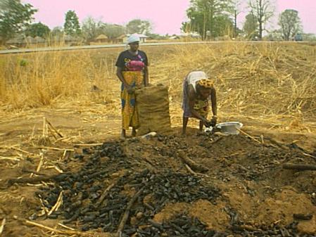 decline of the woodfuel