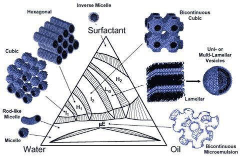 nother example of ternary phase diagram: oil water surfactant system Drawing by Carlos Co, University of Cincinnati Surfactants are surface-active molecules that can form interfaces between
