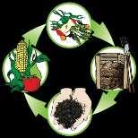 The Advantages of Bioenergy