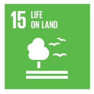 2030 Agenda for Sustainable Development Adopted on 25 September 2015 by the UN General Assembly, it includes 17 SDGs including item 15.