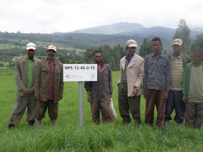 In partnership with ATA, OCP has developed fertilizers adapted to Ethiopian soils Fertilizer distribution is mainly done through the Government Development of new formula more adapted to soil enabled