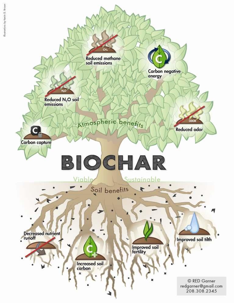 Potential benefits to biochar soil amendments.