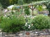 Create a pollinator friendly garden Provide a
