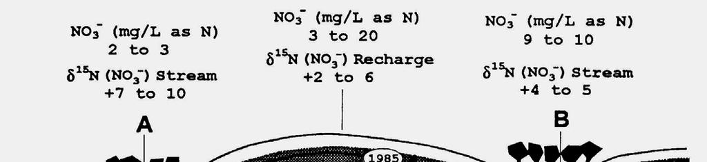 Nitrate and 15 N in groundwater