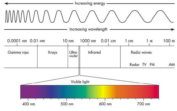 THE LIGHT Light: electromagnetic radiation of a wavelength that is visible to the human eye (about 400 700 nm). Light can exhibit properties of both waves and particles (photons).