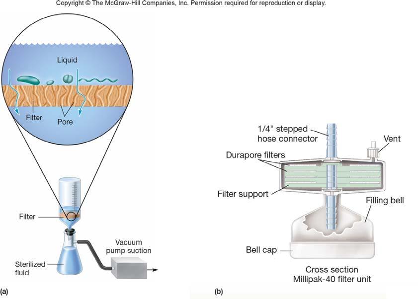 Membrane filters Filtering Liquids