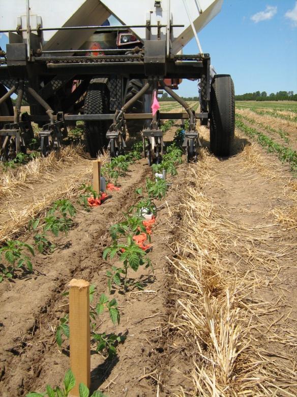 Monitoring soil moisture for irrigation o o o o needs: Project objectives Provide efficient and timely applications of