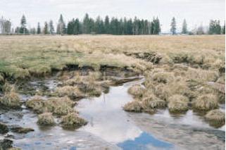 determining wetland extent, aim to predict hydroperiod and wetland location for future climate change scenarios