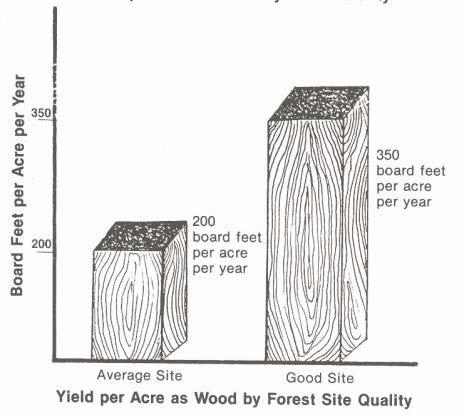 Quantity of biomass produced from an acre of woodland