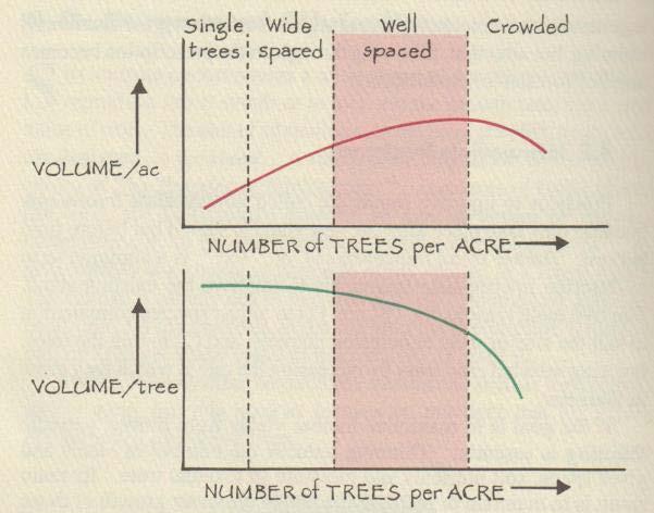 Volume Growth Per Tree or Acre is Controlled by Tree