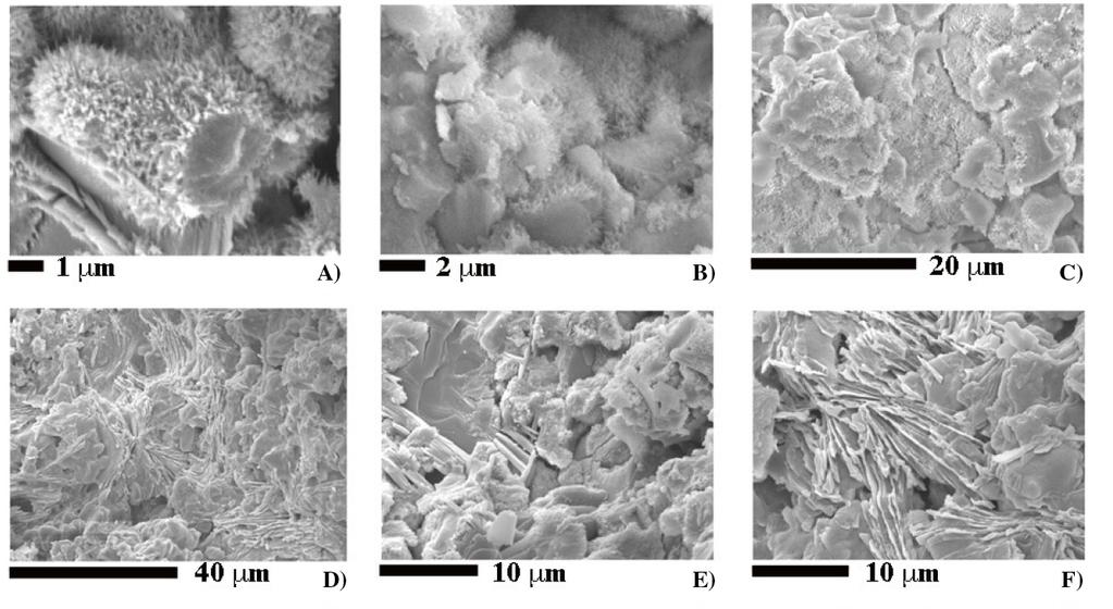 Hydration products I SEM micrographs of fractured C 3 S pastes (w/c =