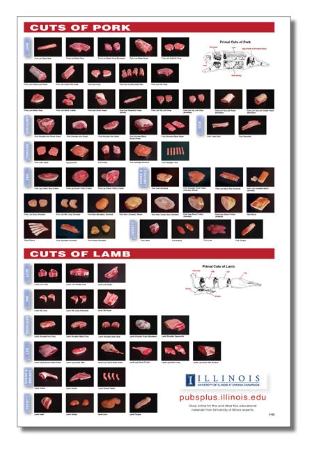 00 This poster features the pork and lamb cuts from the Retail Meat Cut Flash Cards.  Printed on sturdy, high-quality paper.
