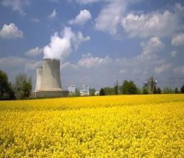 Nuclear Power Plants Source: