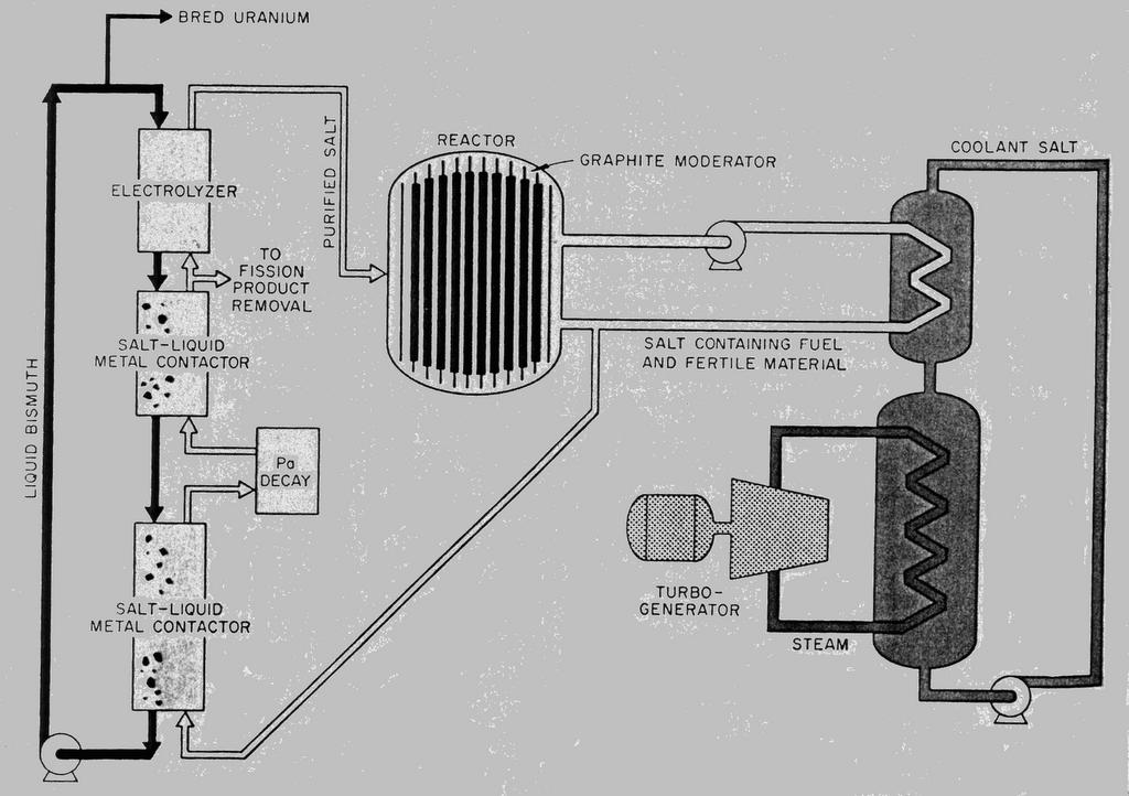 MSBR70 Reactor (ORNL)