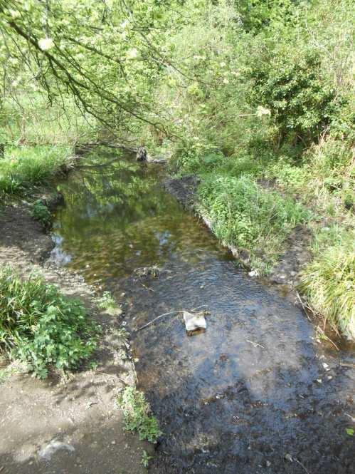 2. The ecological status of the Santry River through Santry woods The Water Framework Directive (WFD) requires monitoring the physical, chemical and biological quality elements to characterize the