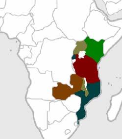 ApproTEC s 3-Year Objective Sell 100,000 irrigation pumps, primarily in Eastern Africa region Uganda Kenya Rwanda Tanzania Malawi
