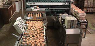 The latest innovations include a vertical carrousel that combines egg transport in one straight line for best egg handling at high speeds with a construction that has as much technology above the