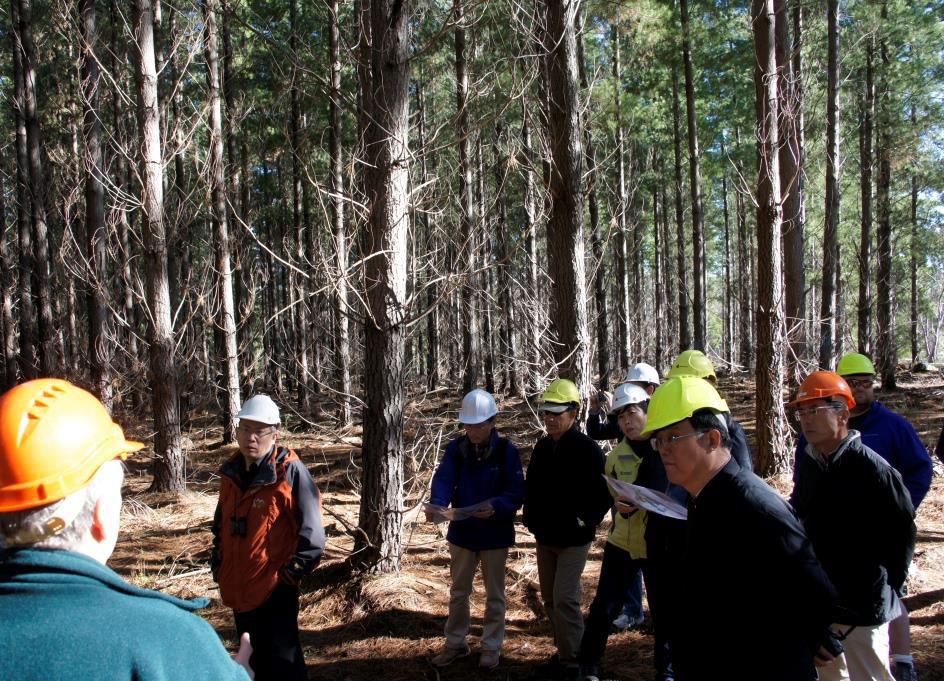 science, research, and technologies into forest management.