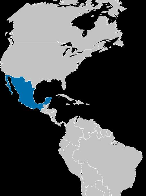 MEXICO : THE 2 ND LARGEST ECONOMY IN LATIN AMERICA Area: 1,964,375 sq km Inhabitants: 123 million Constitution: Federal presidential republic Languages: Spanish and native languages GDP (purchasing