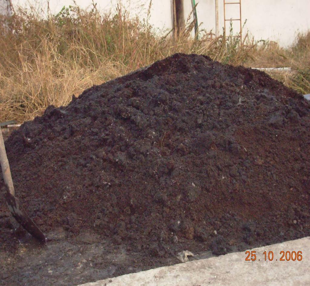 Composting Yard at Xingda