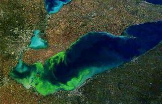 combined sewer overflows to exacerbate toxic algal blooms and raise