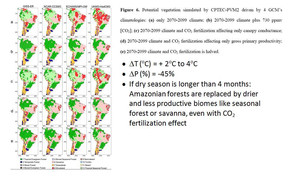 Climate change How does the forest respond to increased
