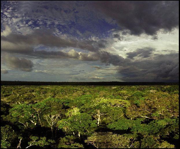 Ecosystems of Amazonia - environmental drivers