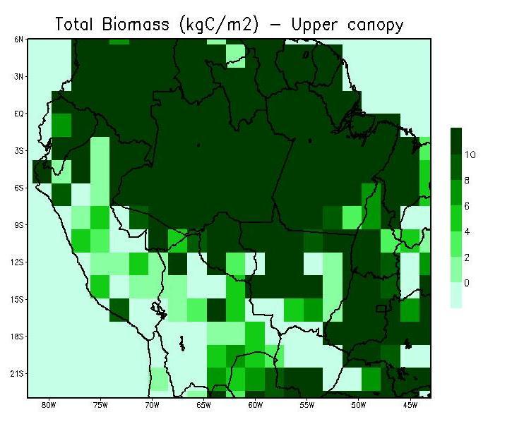 Biomass