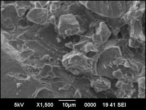 SEM images evidence the morphology of the material and the absence of micro-voids and dewetting phenomena.