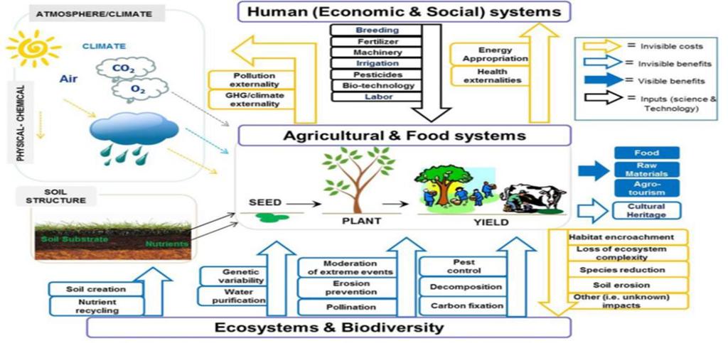 Methods and data: TEEB Framework: overview of eco-agri-food system