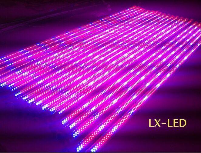 To replace the spectrum of the SUN, LED Grow lights are recommended LED grow lights as with much of the LED lighting market is growing fast in popularity