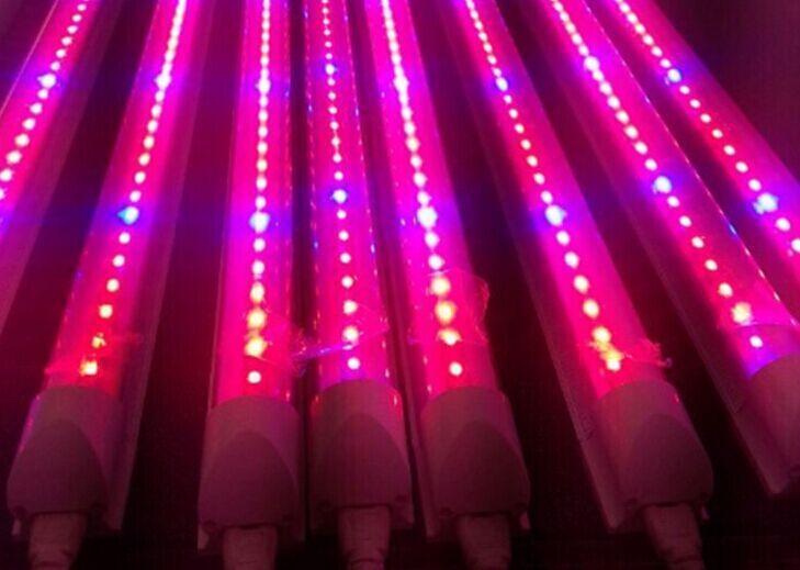 All the colours for all types of plant and fruit growth without the SUN The use of LED Grow