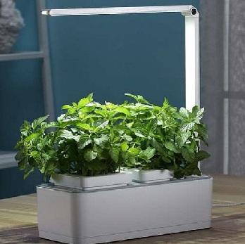 The mini grow cube consists of a fold up LED grow light tube which represents the light colours of the sun, the organic nutrient I