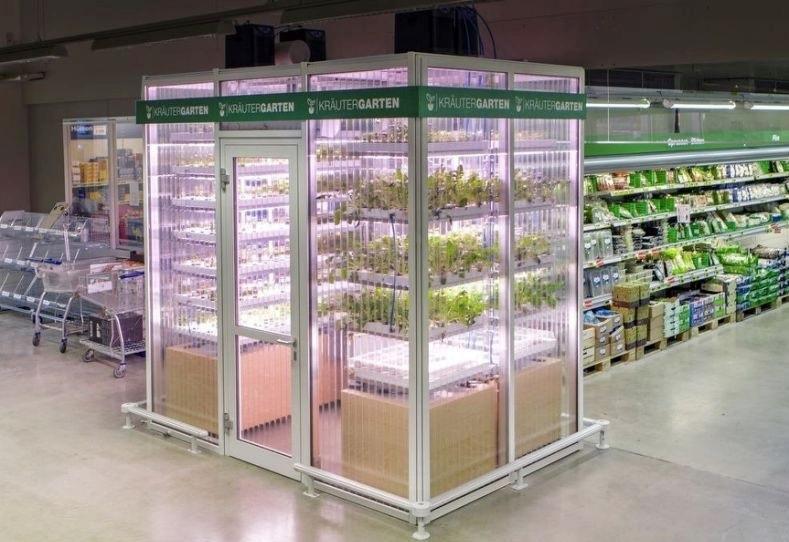 A self standing hydroponics Grow Cube located in a German Supermarket This latest idea from a German company comes in many formats depending on where you want to grow the salad/herb plants in