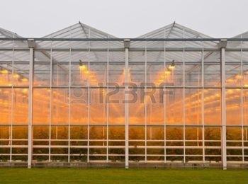 The majority of current green house lighting is from HPS lamps of 1,000 w As with most of the worlds
