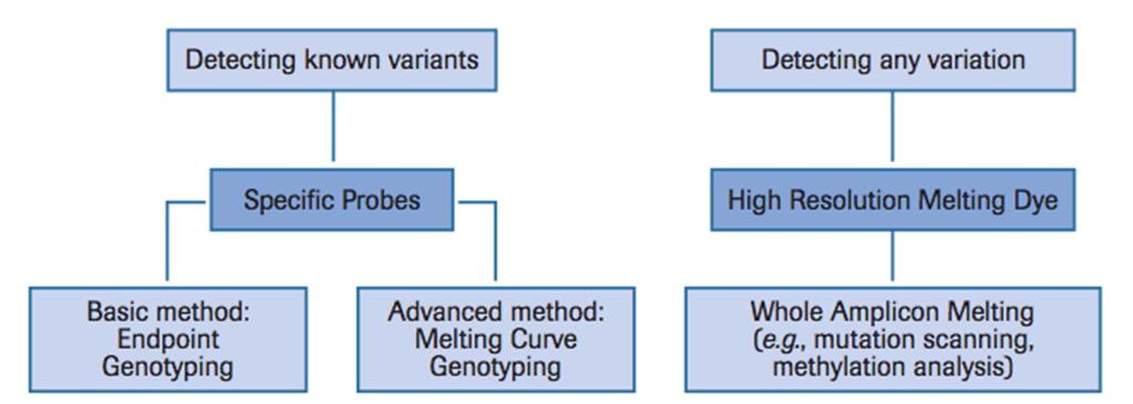 Genetic Variation Analysis SNP analysis