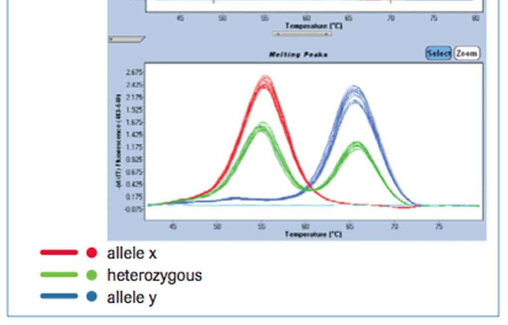Melt Curve genotyping allows analysis of several variable sites in combination (e.g. haplotypes).