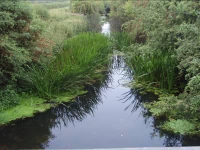 To get involved with work in the catchment please contact: Catchment host LouisePrint-Lyons@BBOWT.Org.