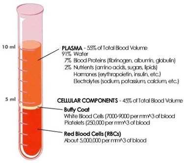 growth factors Platelet Rich Plasma