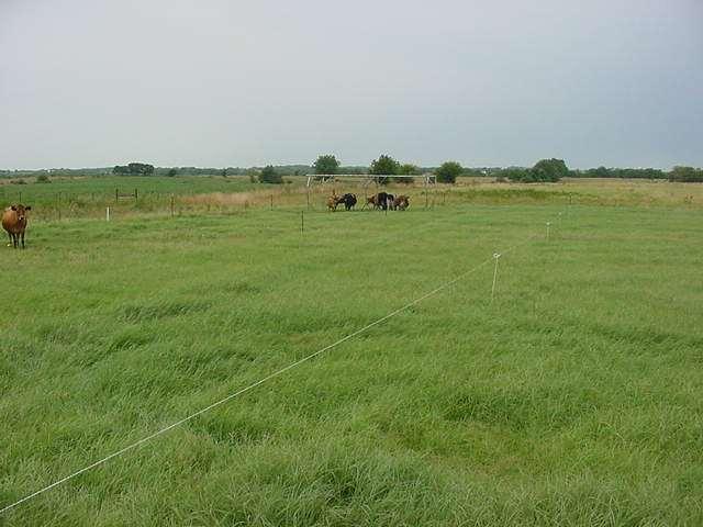 Incorporates a grazing strategy and rest periods Quality &