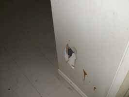 Friable (Y/N) Condition Comments Photographs B-AS-105D Drywall Joint Compound 1.