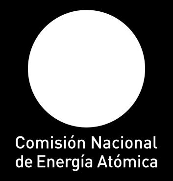 POSIBILITIES WITH THE ARGENTINEAN MODULAR NUCLEAR POWER REACTOR CAREM G.G. Fouga, D.