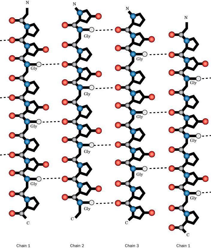SECOND HARMONIC GENERATION (SHG) HIGHLY ORDERED MOLECULAR STRUCTURE NONCENTROSYMMETRIC MOLECULAR STRUCTURE -NO INVERSION CENTER LIGHT EXITING SHG MATERIAL IS: ½ λ AND 2E OF LIGHT ENTERING SHG