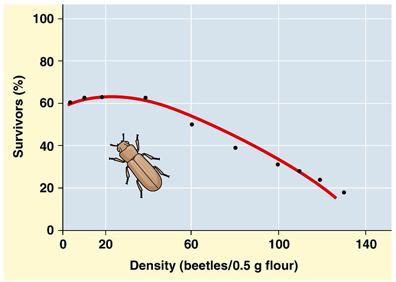 Intraspecific competition for food can also cause density-dependent behavior of populations.