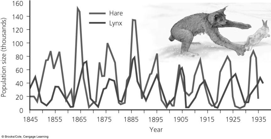 Under Some Circumstances Population Density Affects Population Size Density-dependent population controls Predation Parasitism Infectious disease Competition for resources Several Different Types of