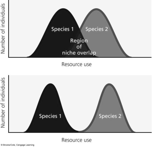 Some Species Evolve Ways to Share Resources Resource partitioning Reduce niche overlap (Fig.