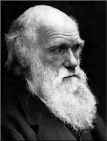Population Genetics The study of various properties of genes in populations Genetic variation within natural populations was a puzzle to Darwin and his contemporaries The way in which
