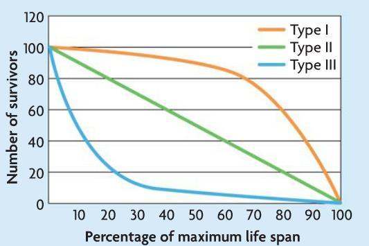 Survivorship curve plot of numbers that Type 1 Death more likely at old age Type 2 Death equally likely at all ages